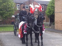 Horse drawn Carriage Hire   Disley 280895 Image 9